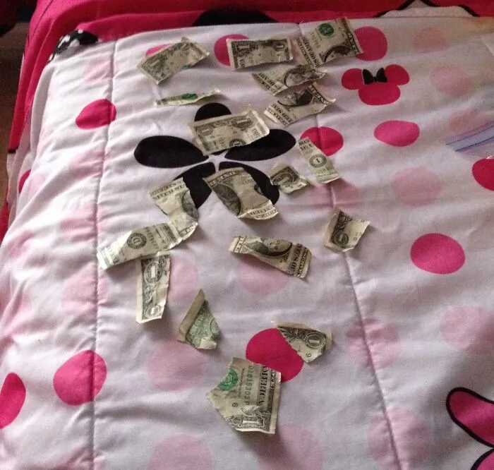 Mi mamá le dio a mi hija dos billetes de un dólar. Los llevó arriba e "hizo más dinero".