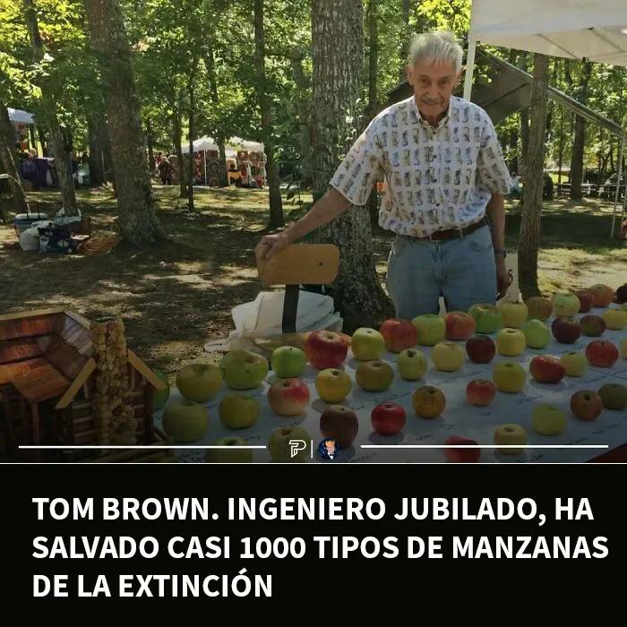 20 Hombres celebrando sus triunfos de forma genial