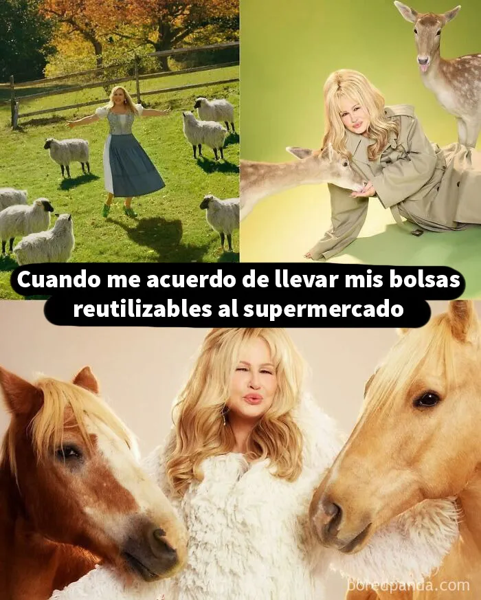 20 Memes sin contexto que van de lo loco a lo incomprensible