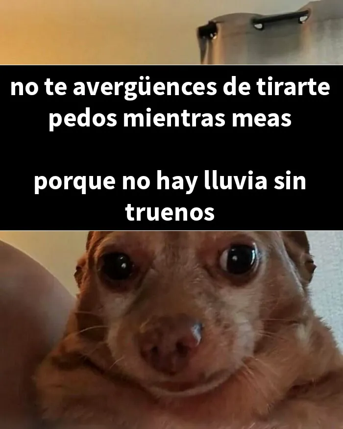 20 Memes divertidos por si necesitas reírte hoy
