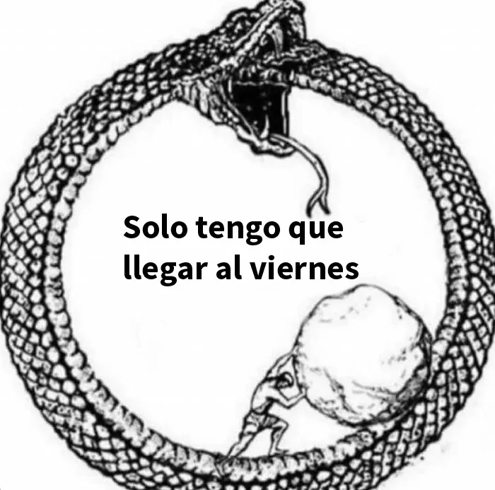 20 Memes tan graciosos como cínicos para mejorar un poco el día