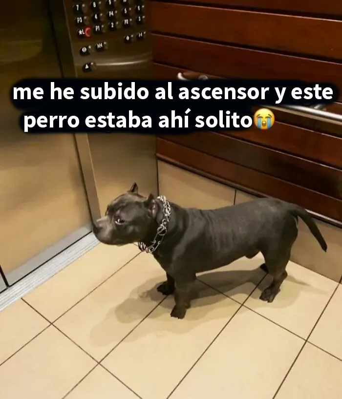 20 Memes tan graciosos como cínicos para mejorar un poco el día
