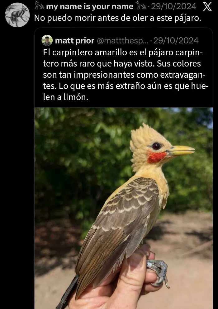 20 De las mejores frases que probablemente nadie había pensado antes