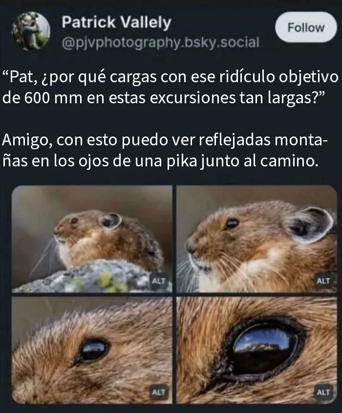 20 De las mejores frases que probablemente nadie había pensado antes