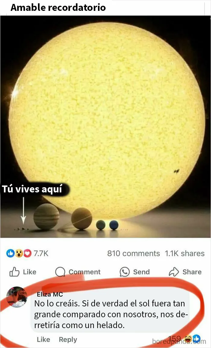 20 Afirmaciones incorrectas muy divertidas que la gente compartió en internet con toda confianza
