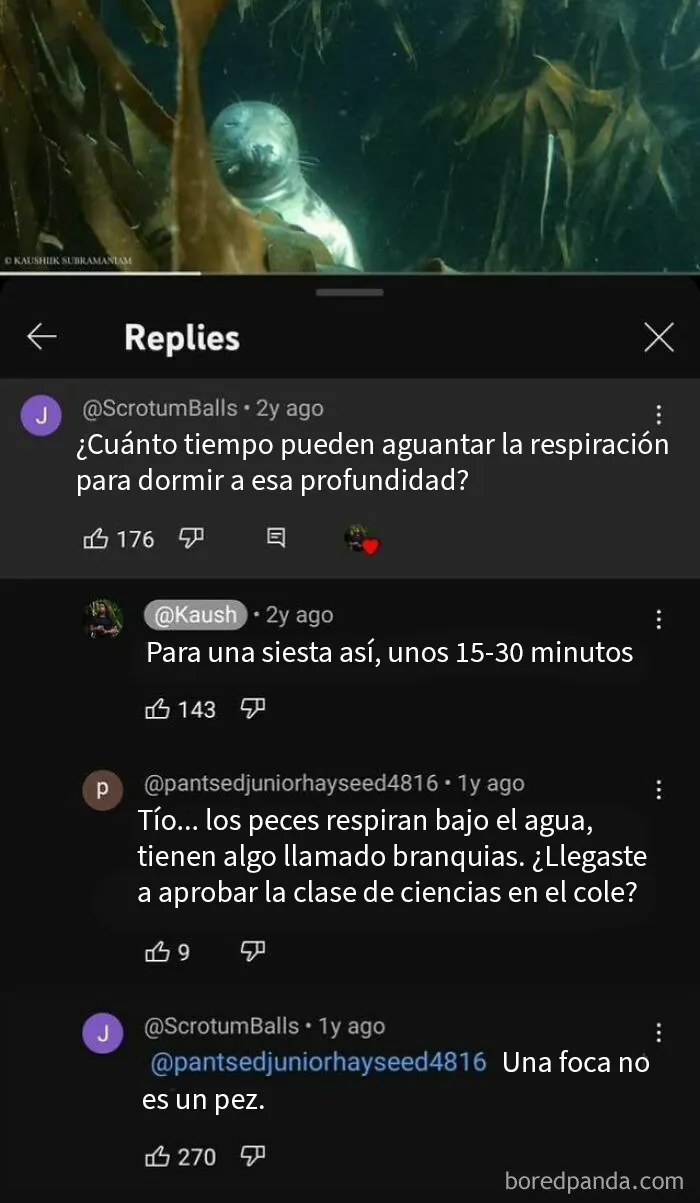 20 Afirmaciones incorrectas muy divertidas que la gente compartió en internet con toda confianza