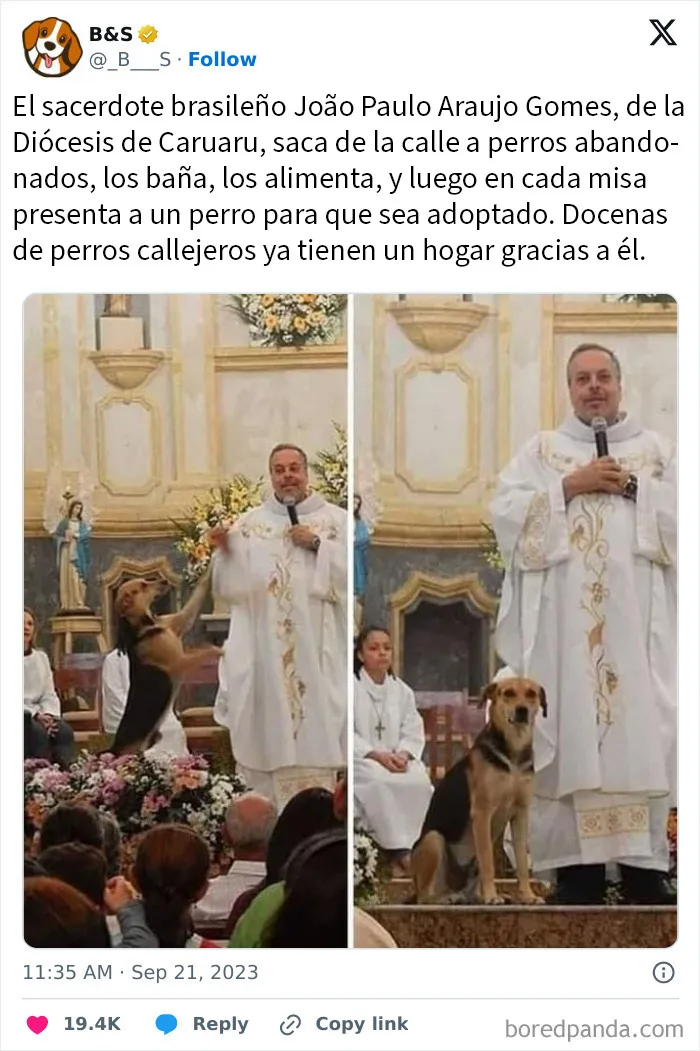 20 Hombres celebrando sus triunfos de forma genial