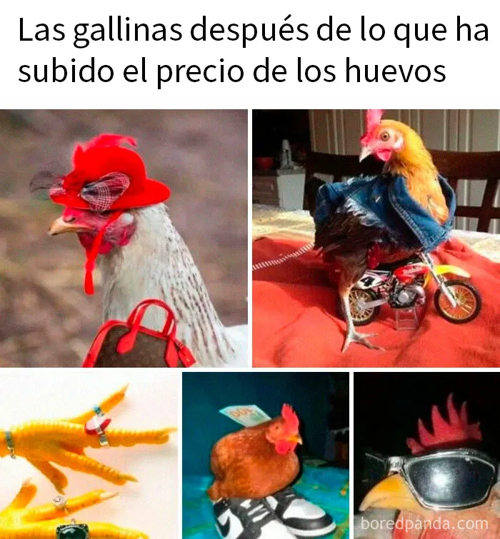 20 Memes con los que te reirás antes de comprenderlos