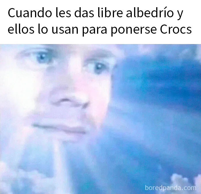 20 Memes con los que te reirás antes de comprenderlos