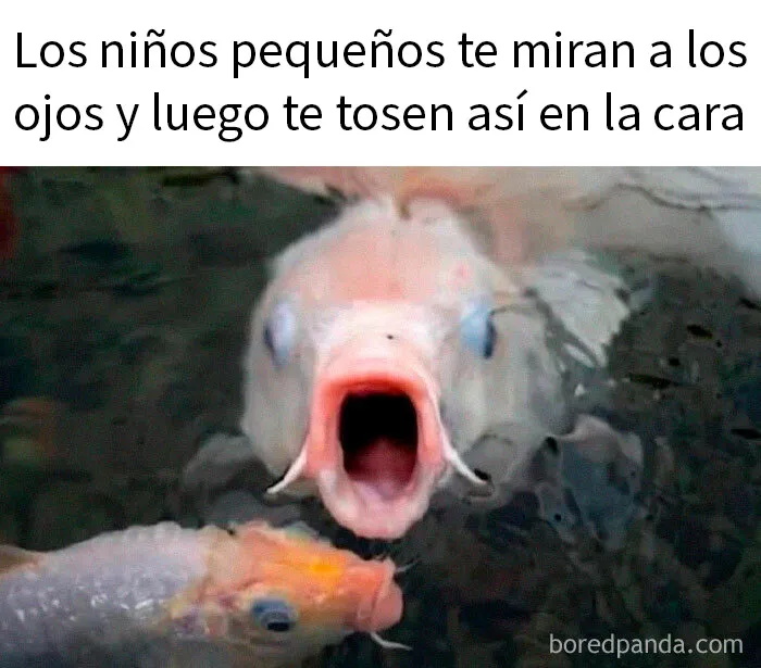 20 Memes con los que te reirás antes de comprenderlos