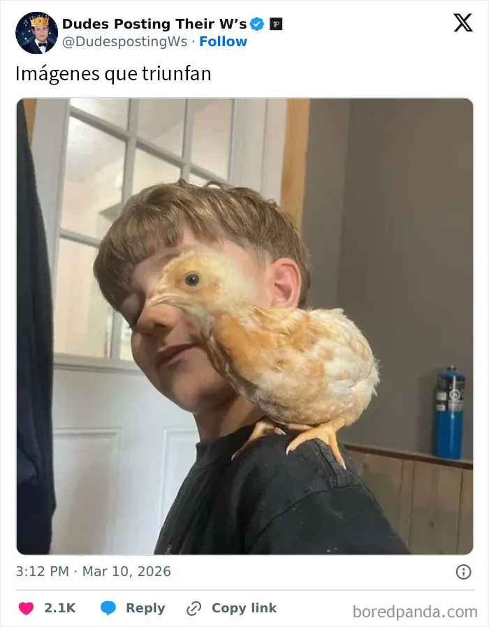 20 Hombres celebrando sus triunfos de forma genial