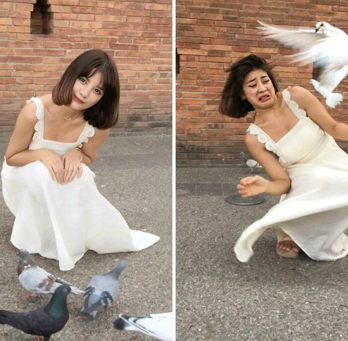Intentando posar para una foto con las palomas
