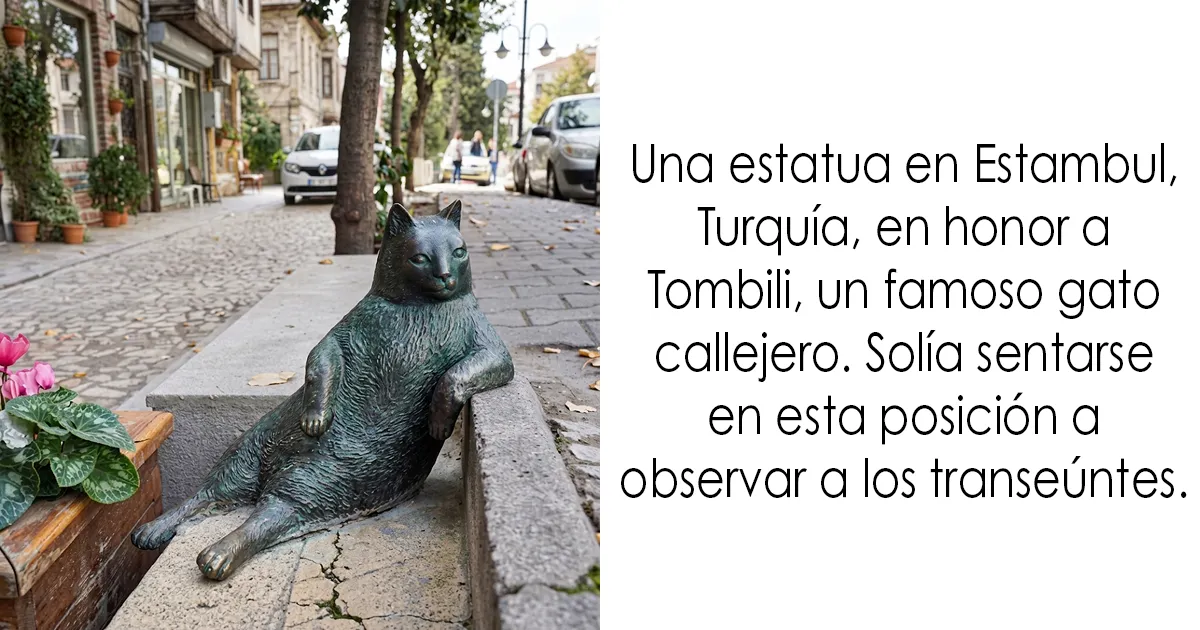 40 Momentos fascinantes de animales mostrando lo increíble de la naturaleza
