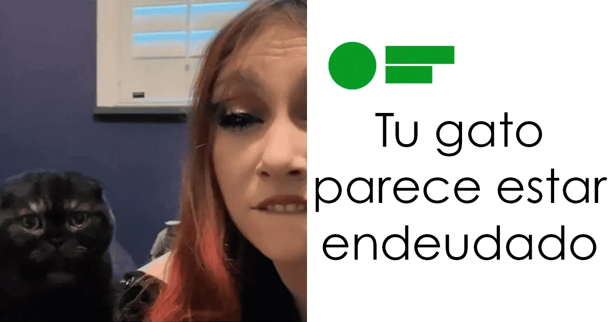 36 Insultos salvajes encontrados en Internet y que eran demasiado buenos para no compartirlos
