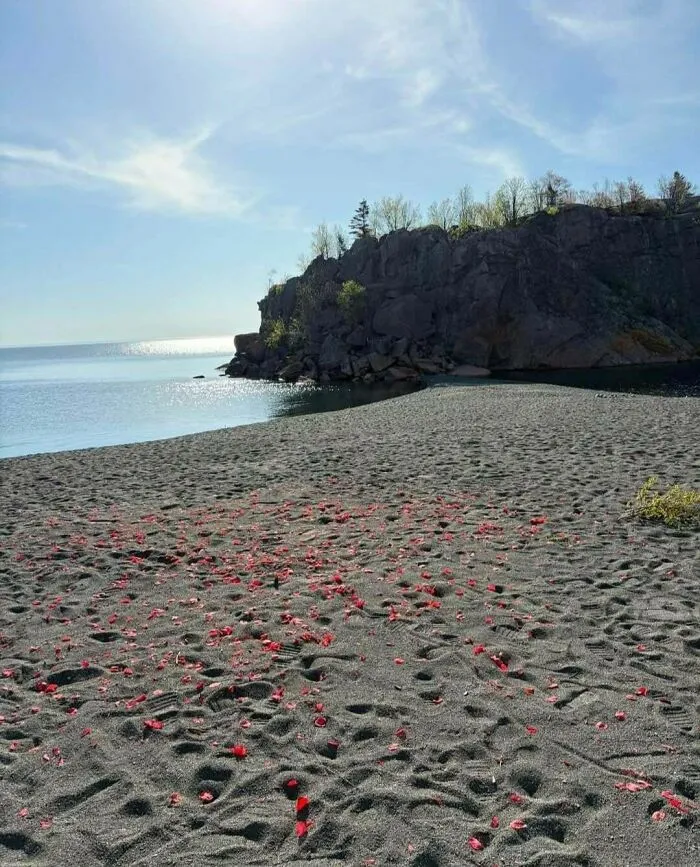 Pétalos rojos esparcidos en playa rocosa para bodas