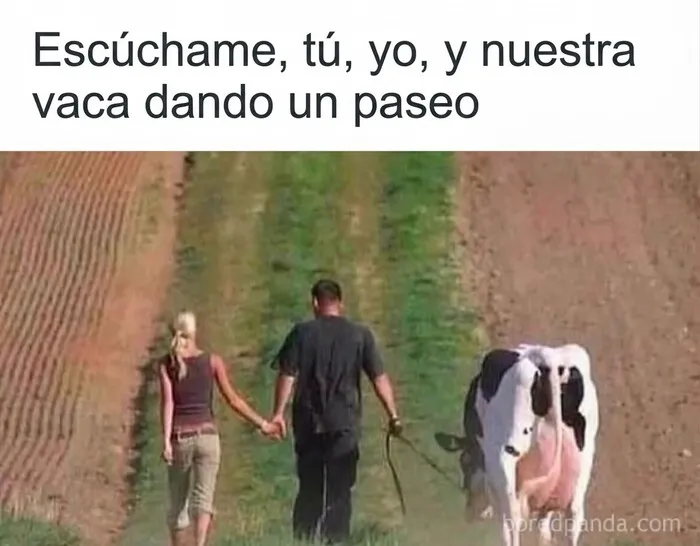 Meme sobre paletos americanos con una pareja caminando por el campo con su vaca.