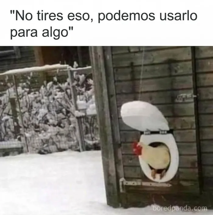 Meme sobre paletos americanos que usan un asiento de inodoro como puerta para gallinas.