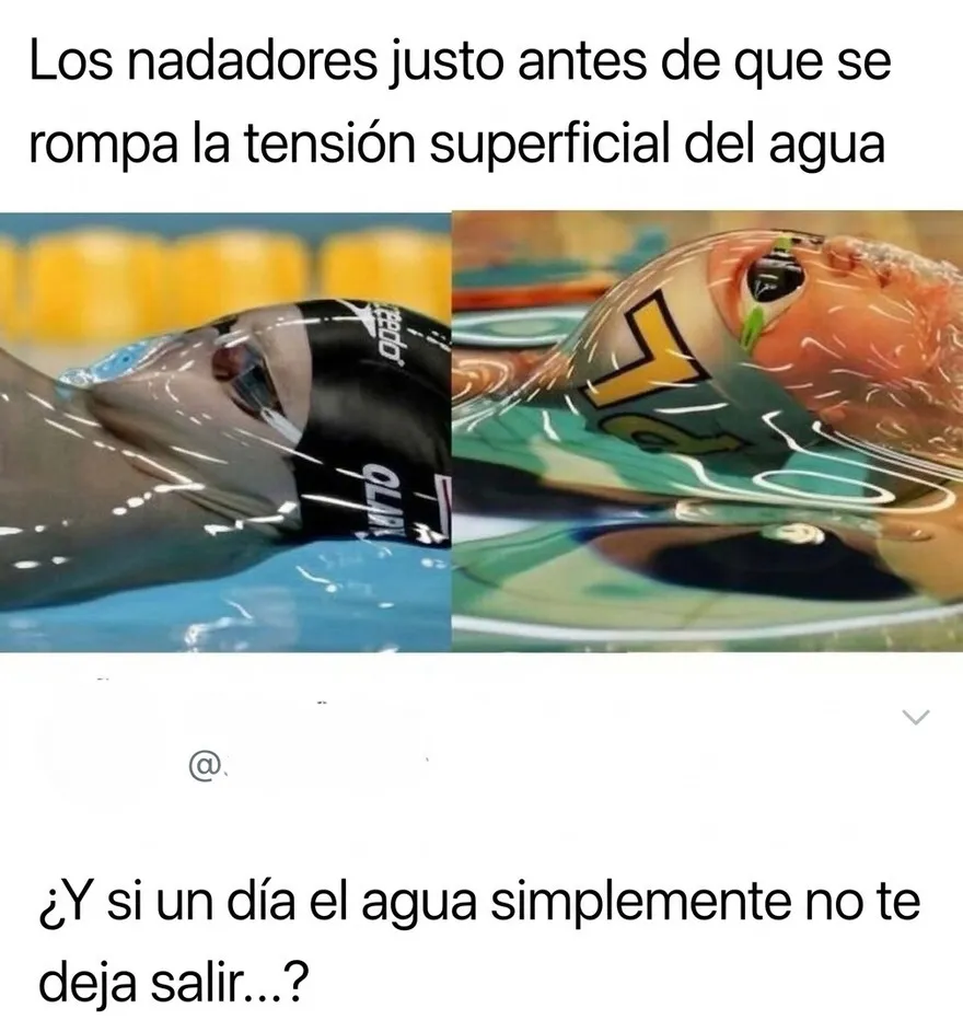Fotos de nadadores bajo la tensión superficial del agua, ejemplo de imágenes confusas e impactantes de ver.