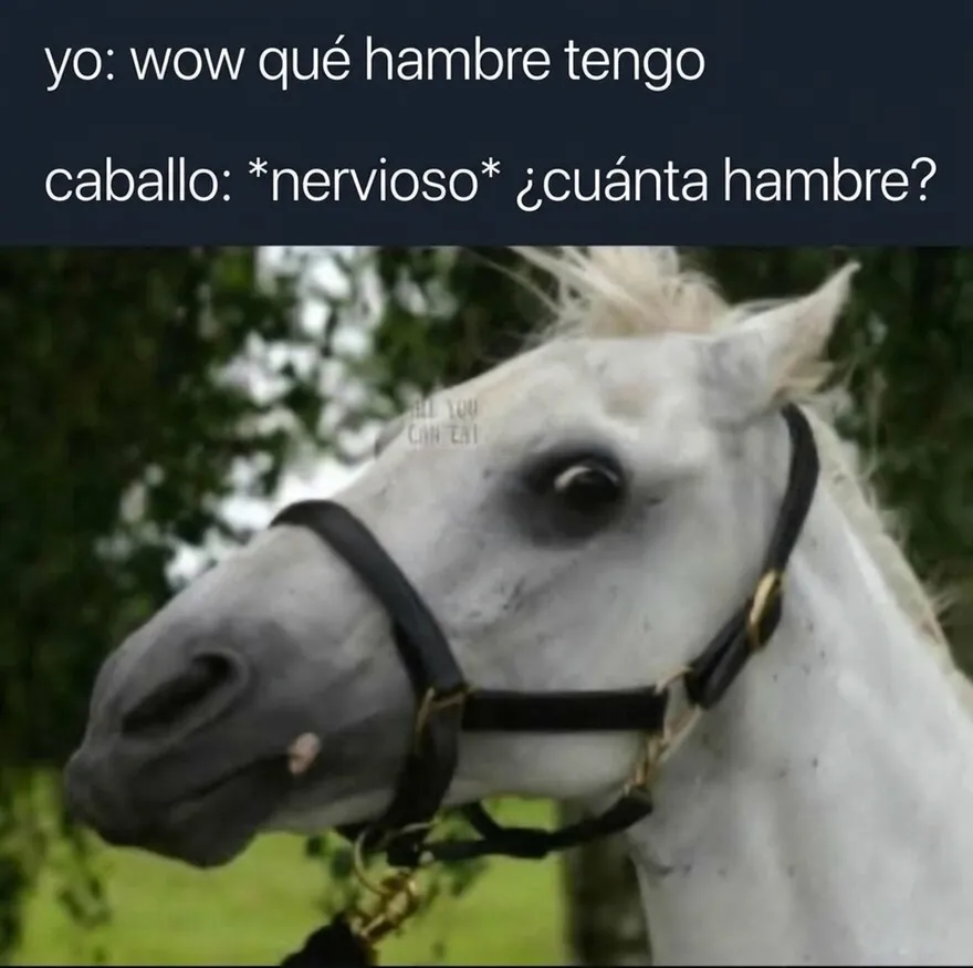 Meme de un caballo mirando con sorpresa, ideal para imágenes tan confusas como divertidas.
