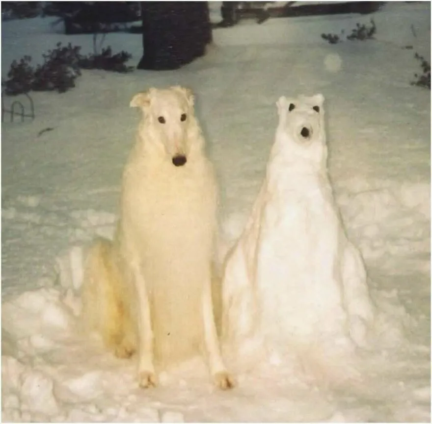 Un perro blanco sentado junto a una escultura de nieve similar, parte de imágenes tan confusas como divertidas.