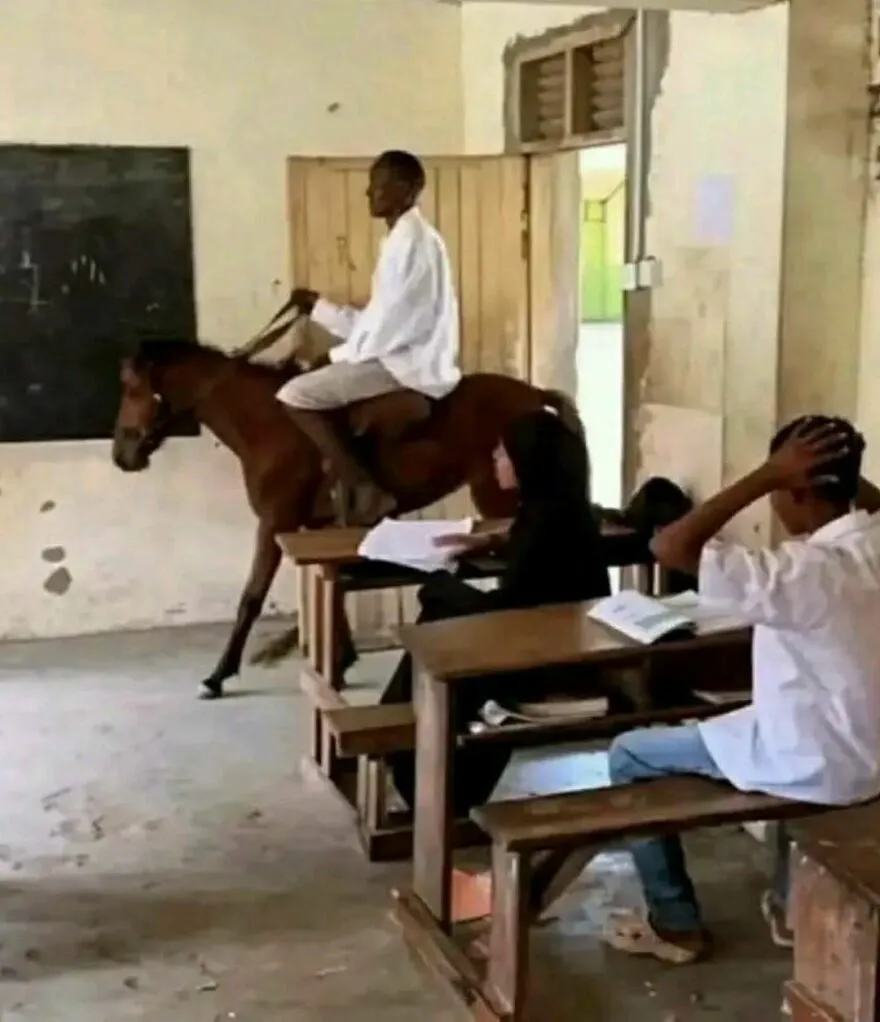 Persona montando un caballo dentro de un salón de clases, entre las imágenes confusas y divertidas del artículo.