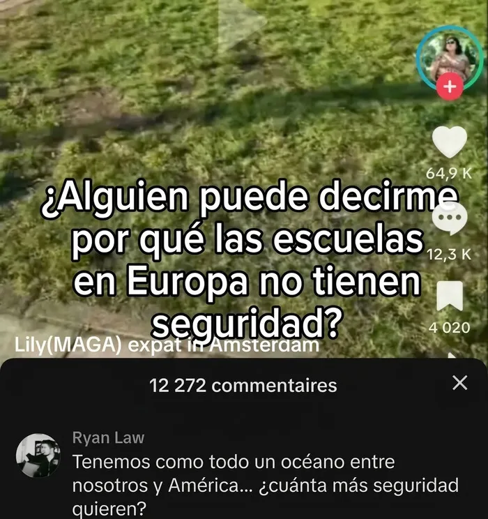 Captura de pantalla con comentarios sarcásticos en redes, un ejemplo de insultos salvajes en Internet.