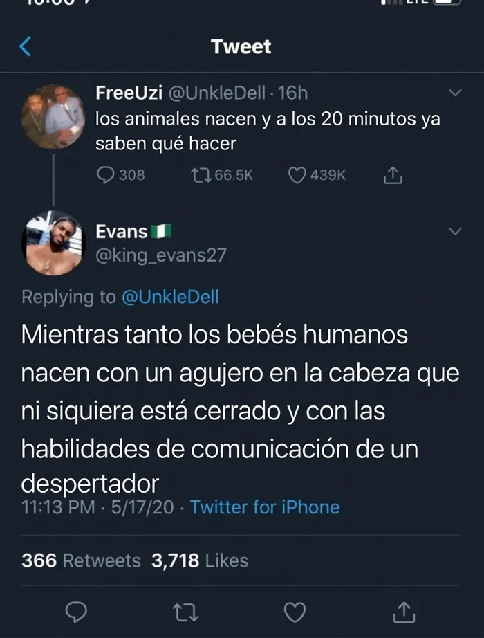 Captura de pantalla de un tweet divertido que ejemplifica insultos salvajes sobre los bebés humanos.