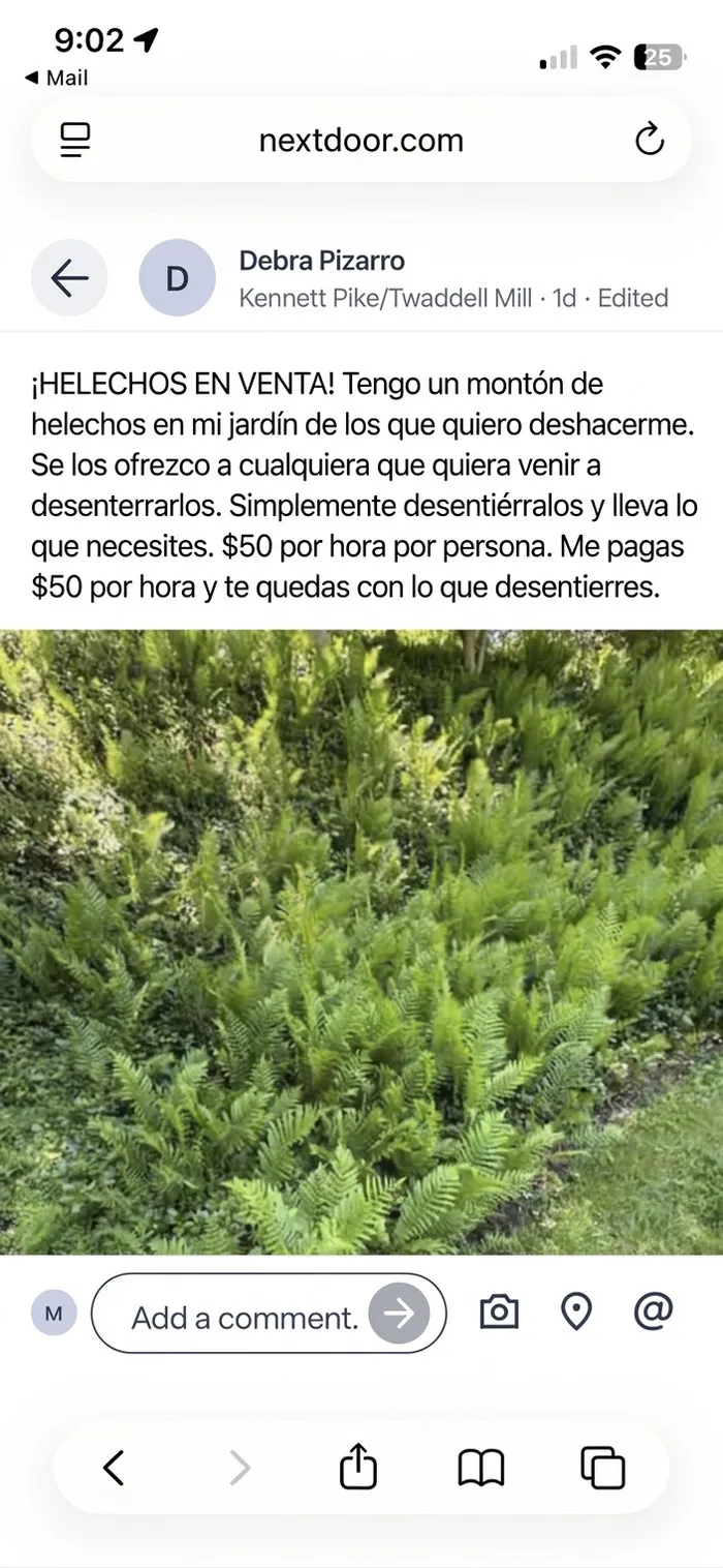 Anuncio en red social de vecinos ofreciendo helechos de un jardín por una tarifa por hora.
