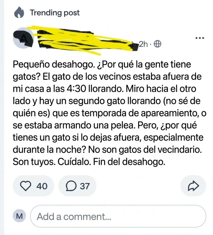 Quejas sobre gatos sueltos por la noche de vecinos en un vecindario interesante