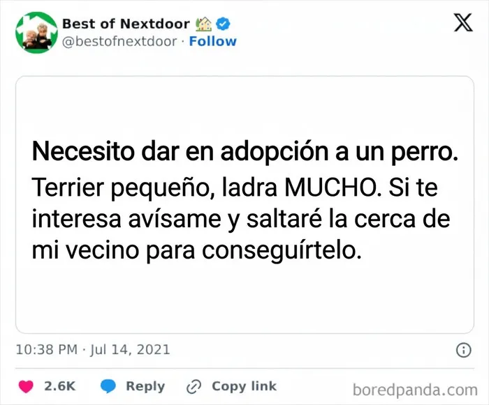 Anuncio para dar en adopción un perro terrier que ladra mucho en anécdotas de vecinos