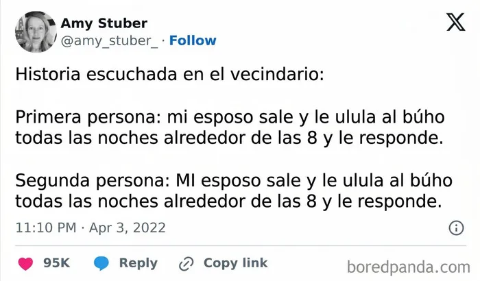 Historia de vecinos con respuestas al ulular de un búho en anécdotas vecinales