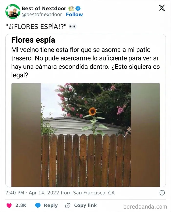 Vecino reporta flor sospechosa que podría ocultar cámara