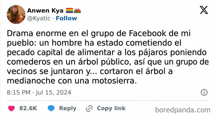 Vecinos discuten sobre alimentación de pájaros y drama comunitario