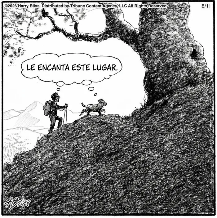 Viñeta divertida sobre perros y senderismo en la naturaleza