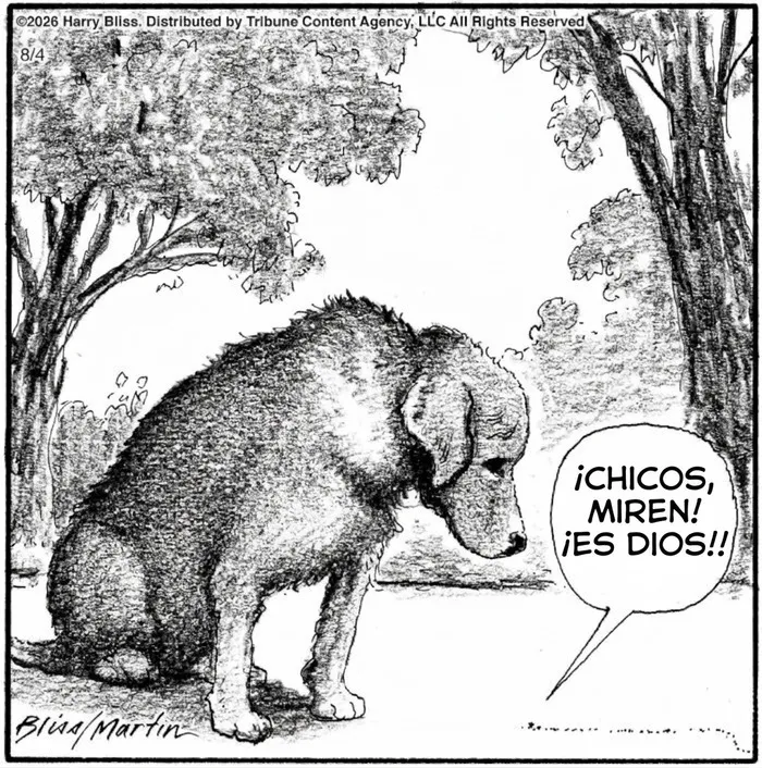 Viñeta divertida sobre perros con perro mirando al suelo en bosque.