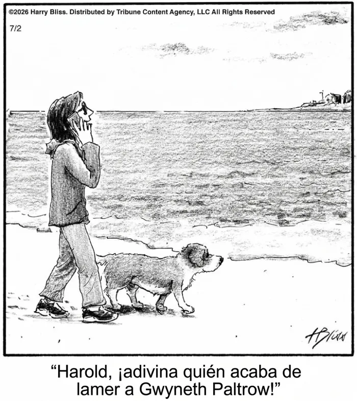 Viñeta cómica de persona y perro caminando en la playa