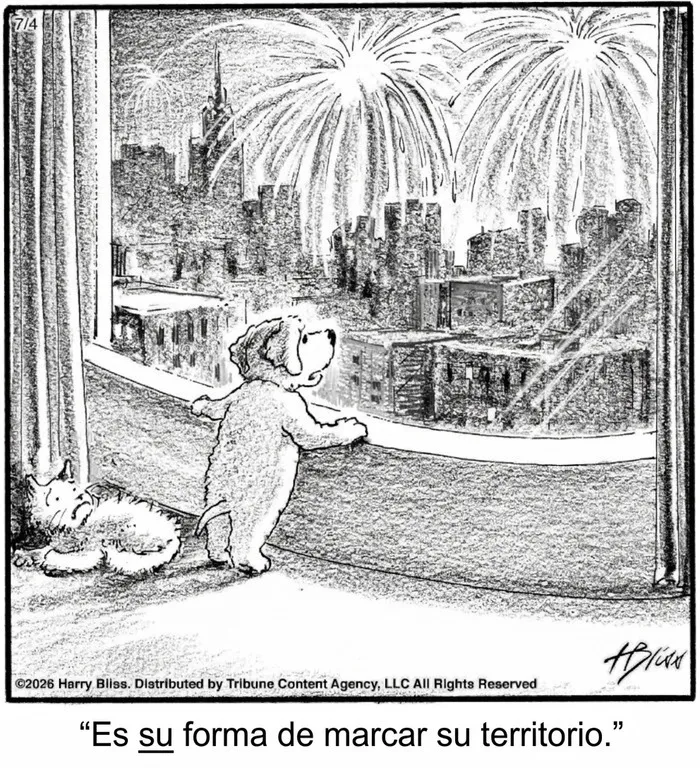 Viñeta graciosa de perro observando fuegos artificiales desde ventana