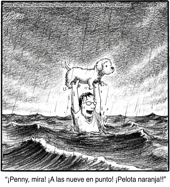 Viñeta cómica de perros con pelota en escena bajo la lluvia por Harry Bliss