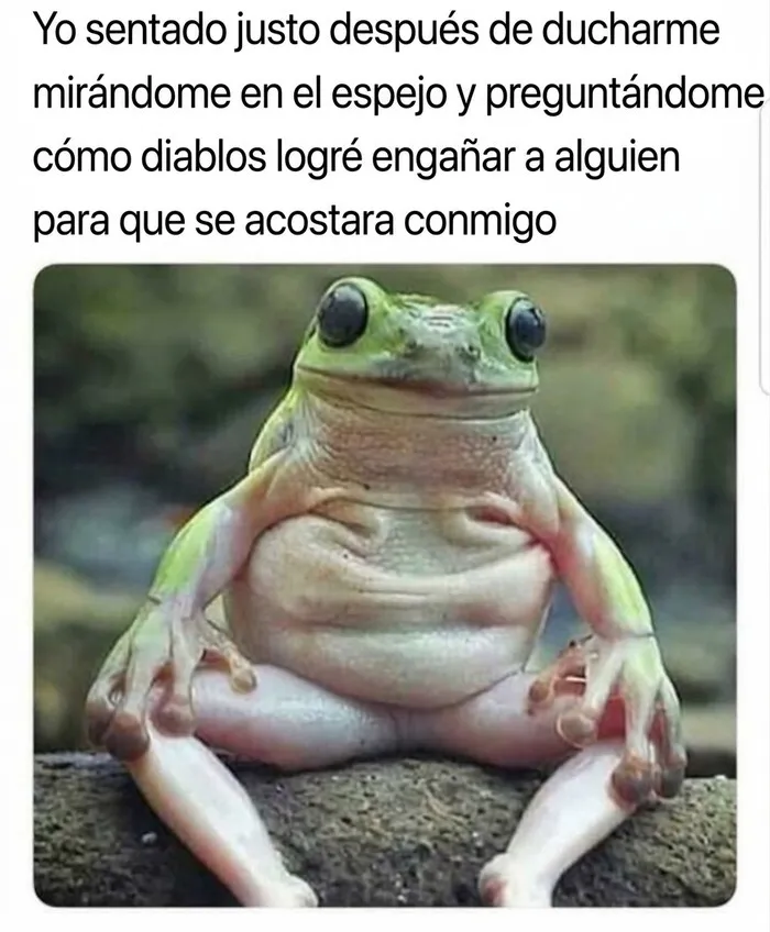 Meme de una rana verde sentada pensativa, un ejemplo de memes divertidos sobre la vida