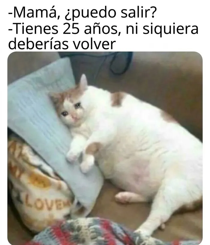 X Memes divertidos por 31