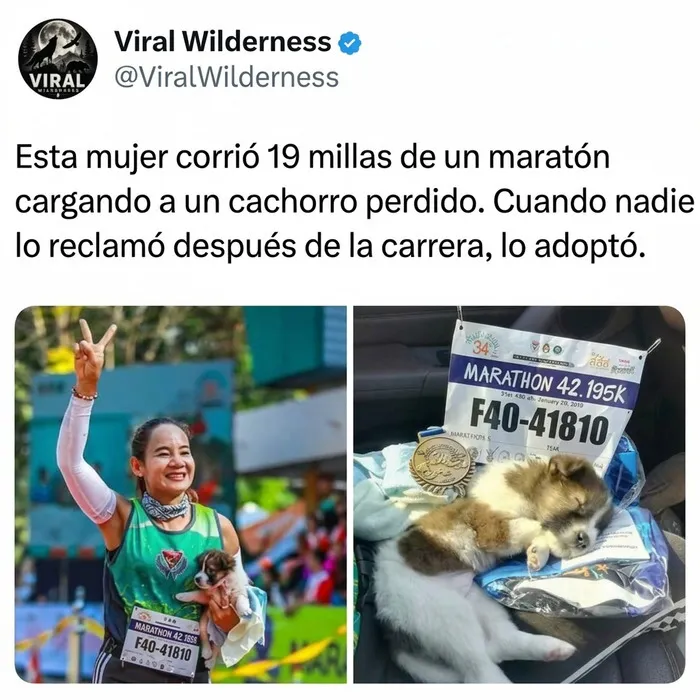 Mujer maratonista cargando a un cachorro rescatado, un gran momento de los animales