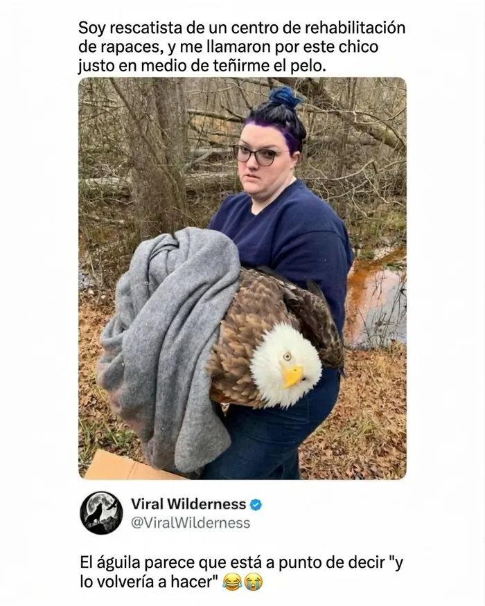 Rescatista sosteniendo un aguila calva envuelta en una manta, parte de momentos fascinantes de animales salvajes.