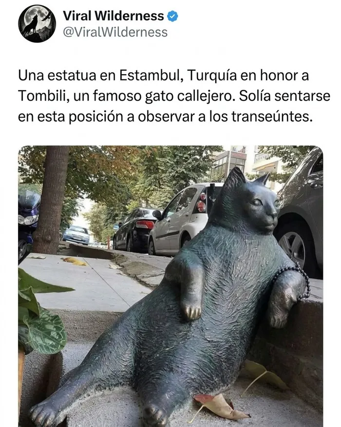 Estatua de bronce de un gato callejero gordo sentado, representando momentos fascinantes de animales en la ciudad.