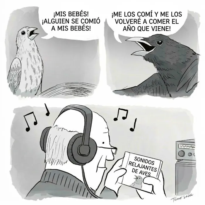 Comic divertido sobre sonidos de aves silvestres para relajarte