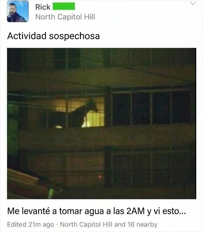 Captura de pantalla de un caballo en una ventana de edificio para publicaciones divertidas.