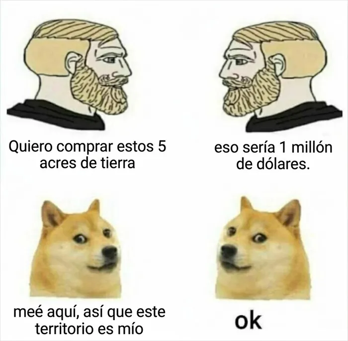 Meme gracioso con perros sobre la propiedad de tierras para publicaciones divertidas.