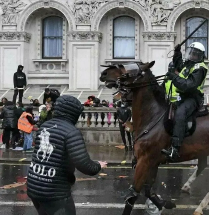 Policía a caballo y manifestante con chaqueta de marca, una de las publicaciones divertidas para ayudarte a relajarte