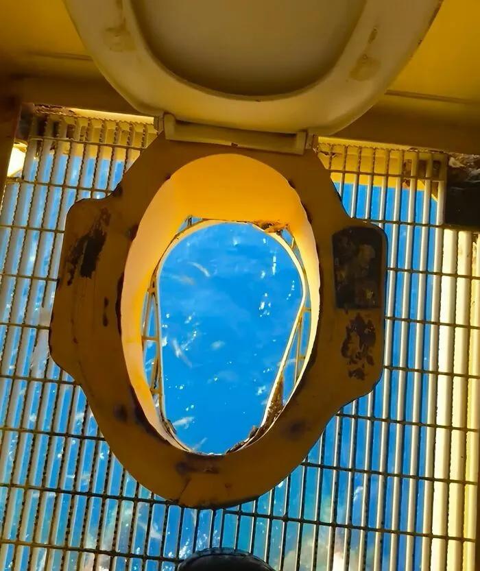 Inodoro con vista al cielo, una de las cosas curiosas compartidas en esta comunidad online.