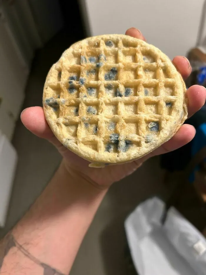 Mano sosteniendo un waffle con moho oscuro para mostrar que siempre puede empeorar