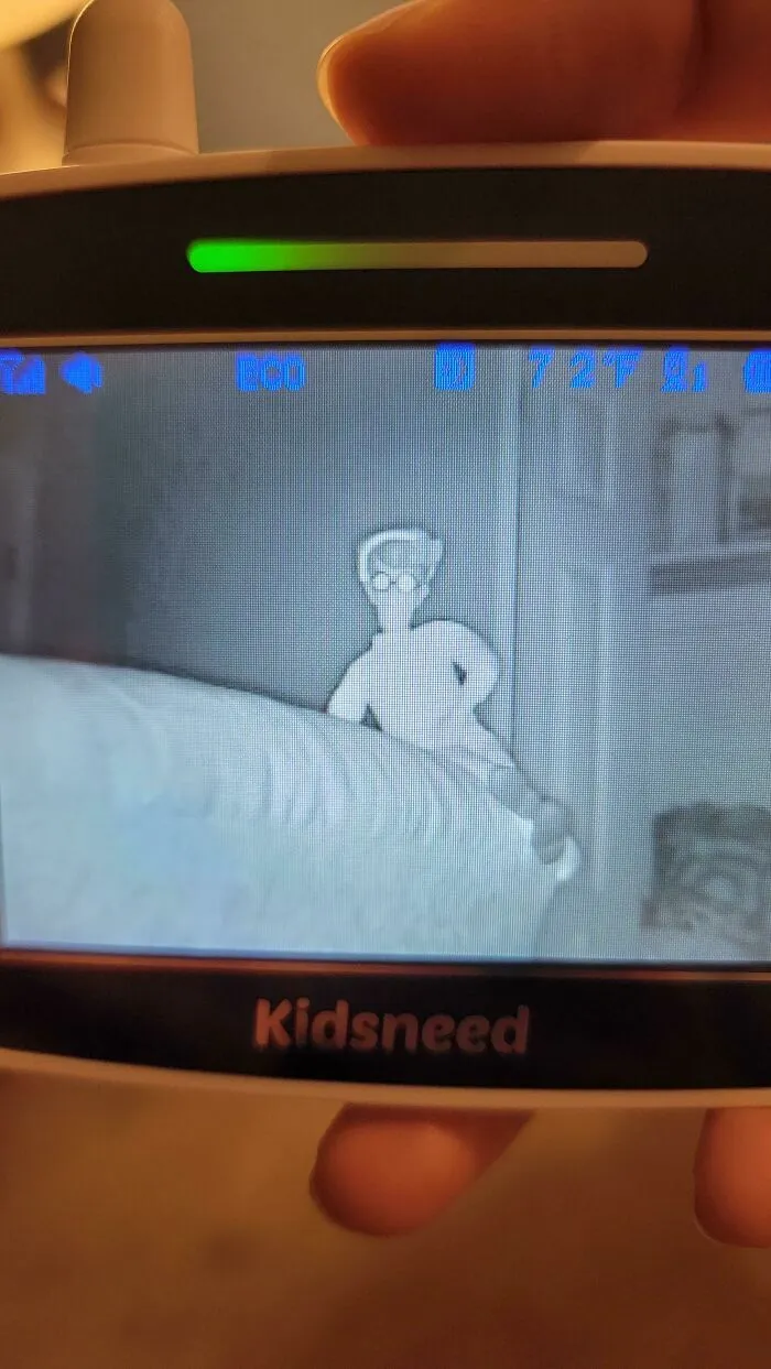Novias y esposas asustadas por un peluche que parece un fantasma en el monitor
